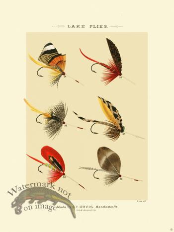 Favorite Flies 08 Lake